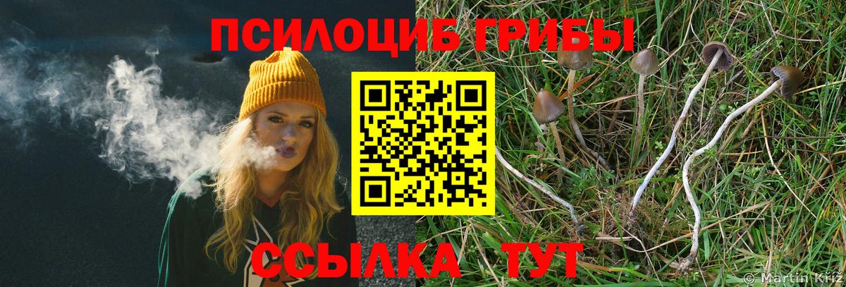 Галлюциногенные грибы Psilocybine cubensis Ишимбай