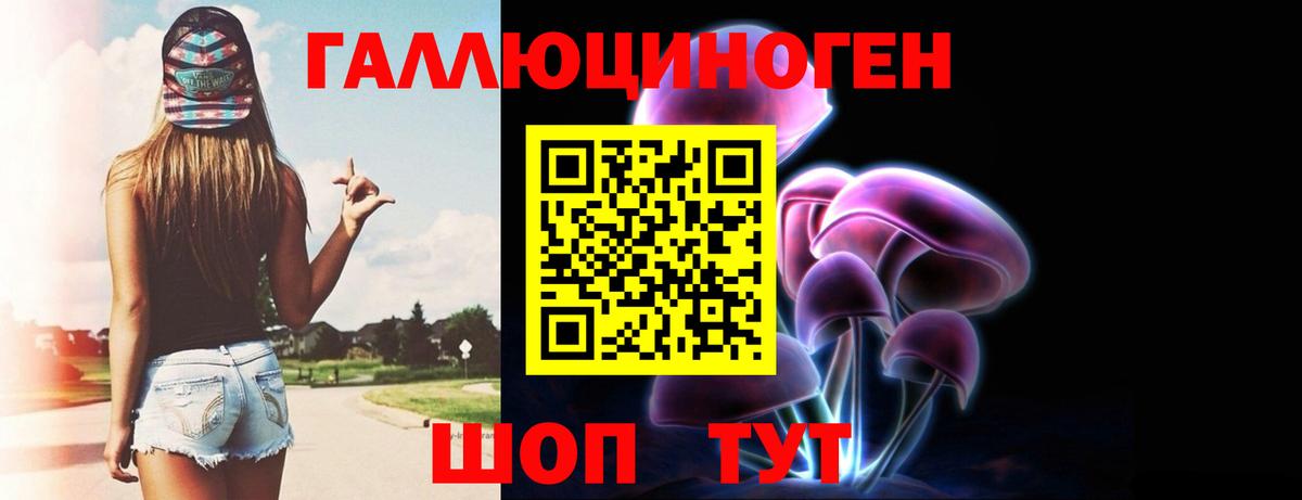 Ишимбай  Псилоцибиновые грибы Psilocybine cubensis  Вход с VPN 
